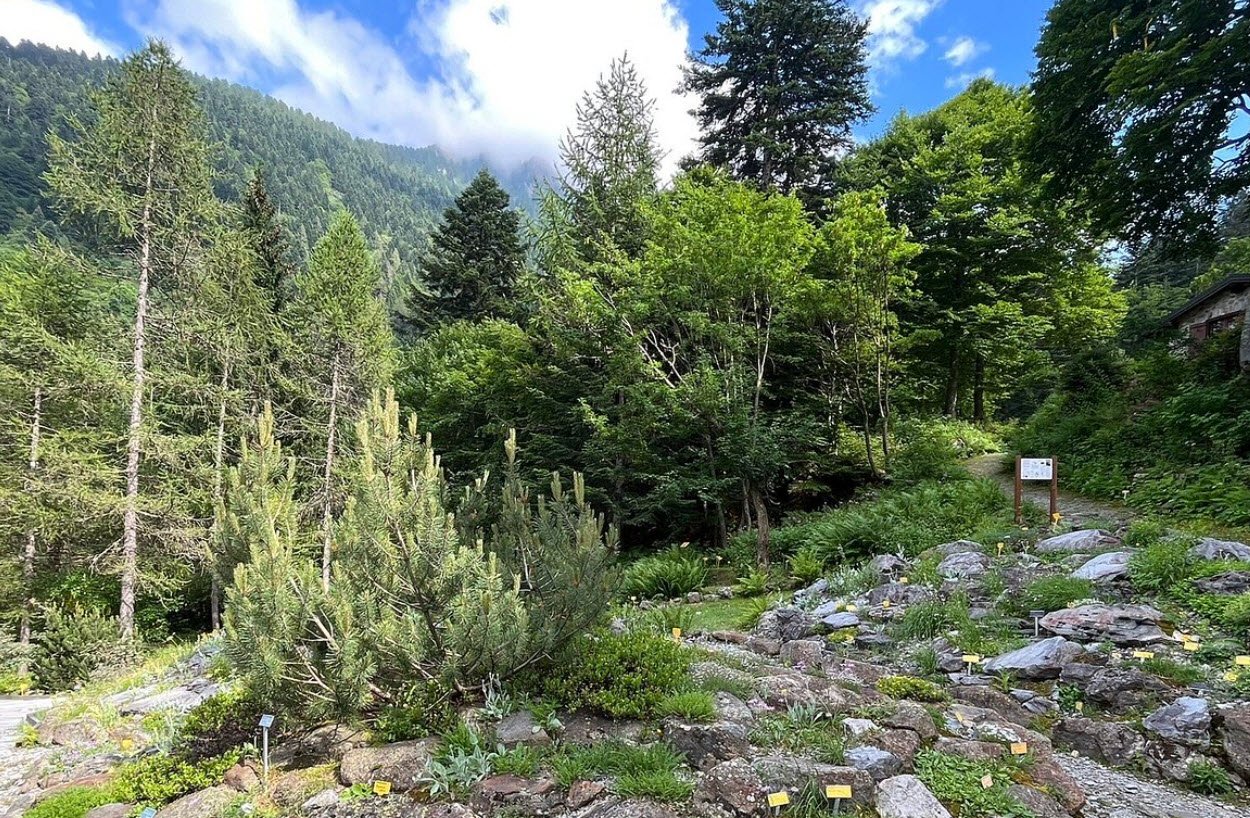 Giardino Botanico Valderia, Italy, Italy